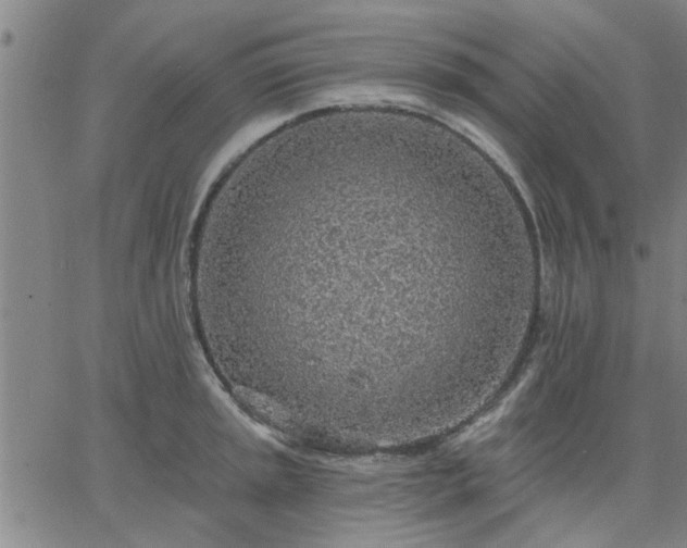 X0000063451045200601271534