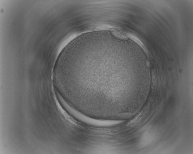 X0000063451047200601271534