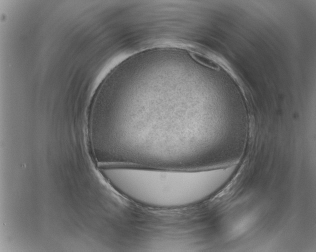 X0000063451048200601271534