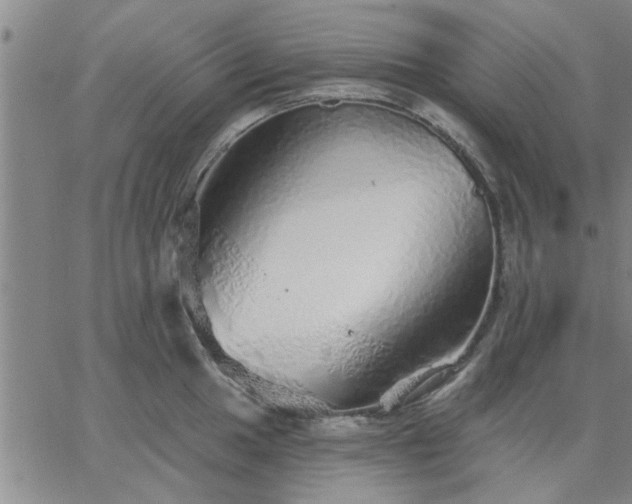 X0000063451049200601271534