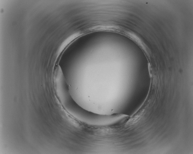 X0000063451050200601271534