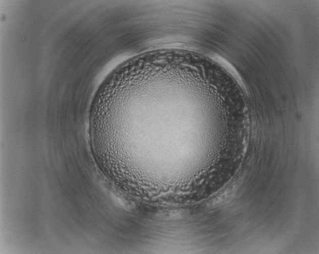 X0000063451051200601271534