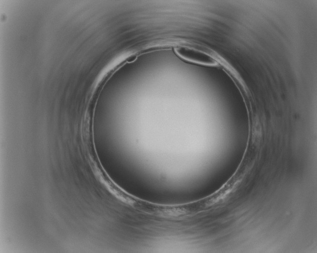 X0000063451053200601271534