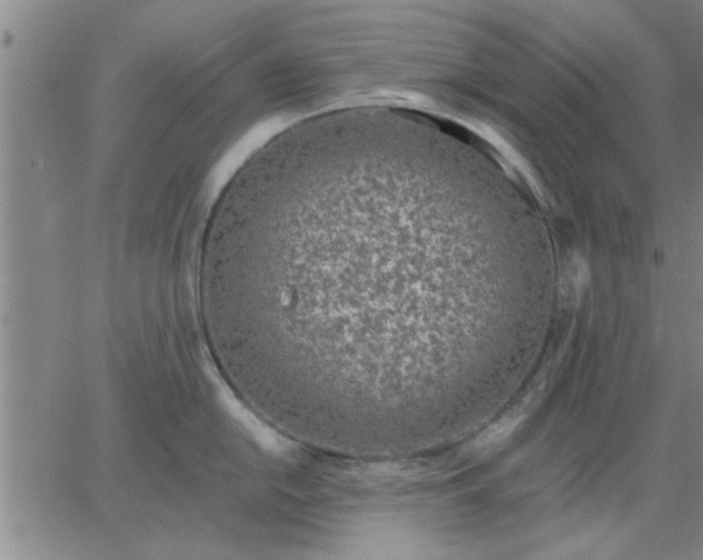 X0000063451054200601271534