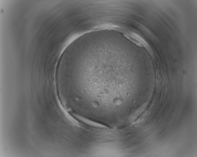 X0000063451055200601271534