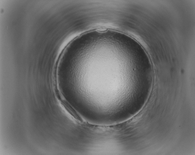 X0000063451056200601271534