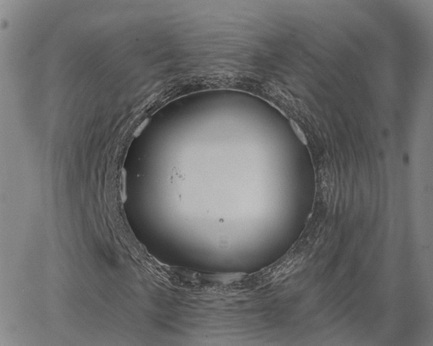 X0000063451057200601271533