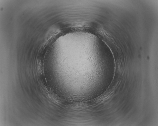 X0000063451060200601271533