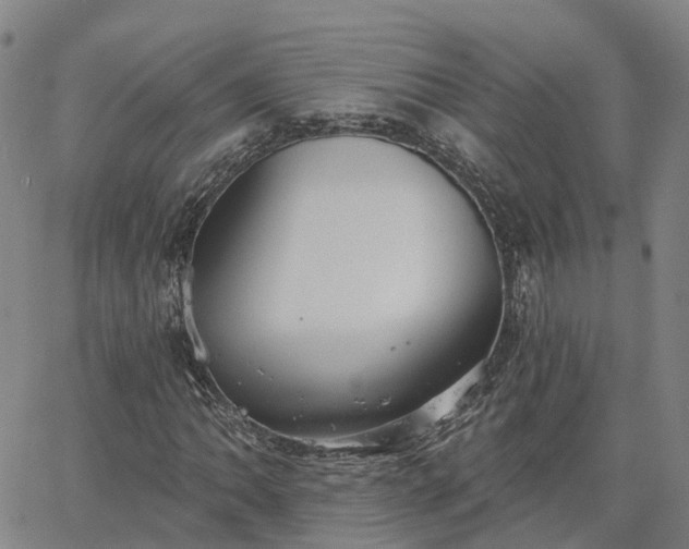 X0000063451062200601271533