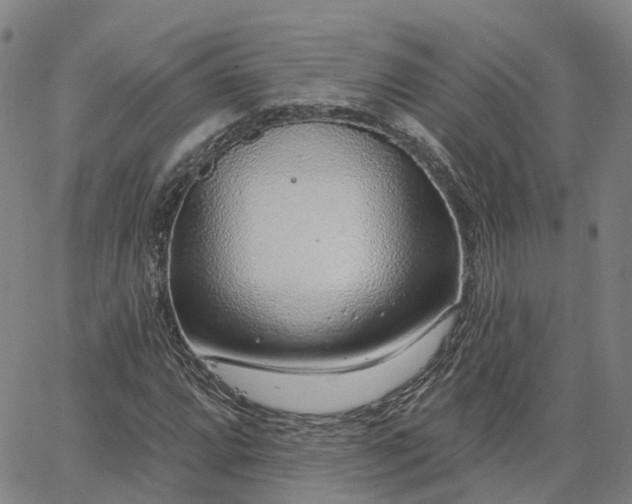 X0000063451064200601271533