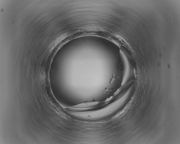 X0000063451065200601271533