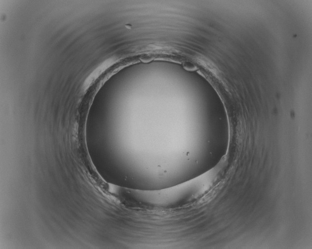 X0000063451066200601271533