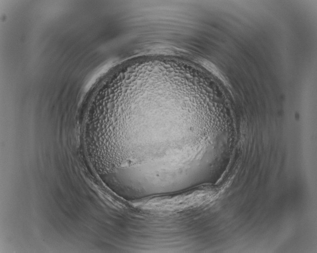 X0000063451067200601271533