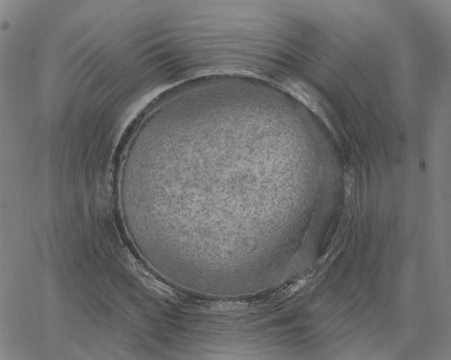 X0000063451068200601271533