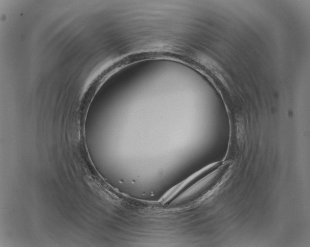 X0000063451069200601271533