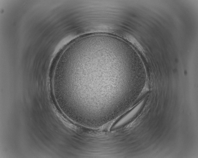 X0000063451072200601271533