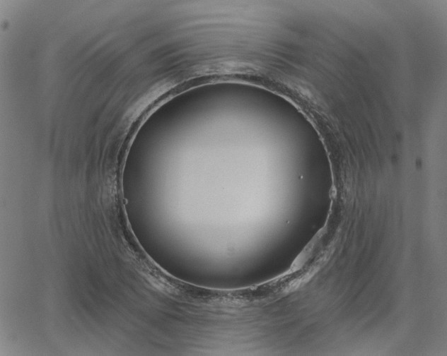 X0000063451073200601271533