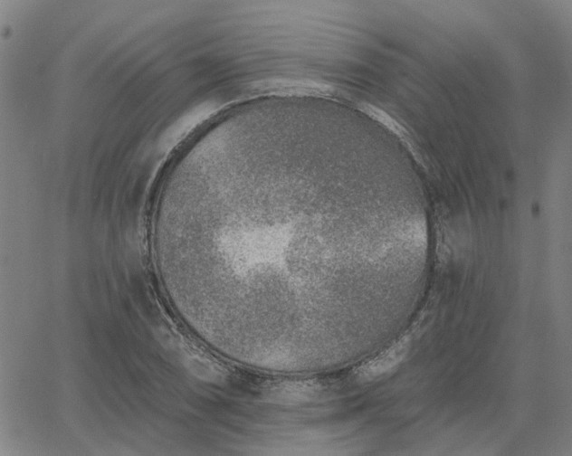 X0000063451074200601271533