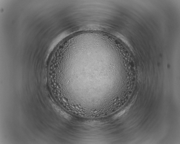 X0000063451075200601271533