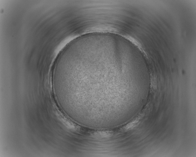 X0000063451078200601271533