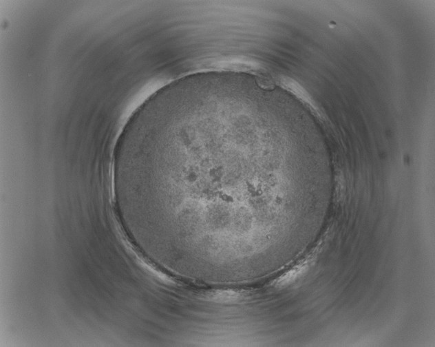 X0000063451079200601271533