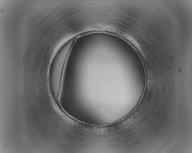 X0000063451080200601271533