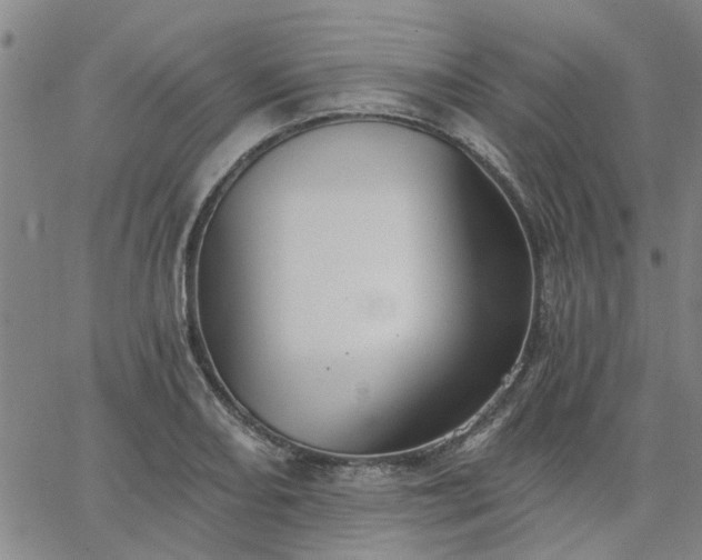 X0000063451082200601271533