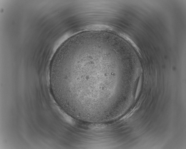 X0000063451083200601271533