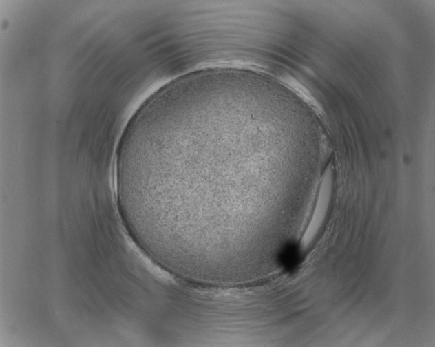 X0000063451084200601271533