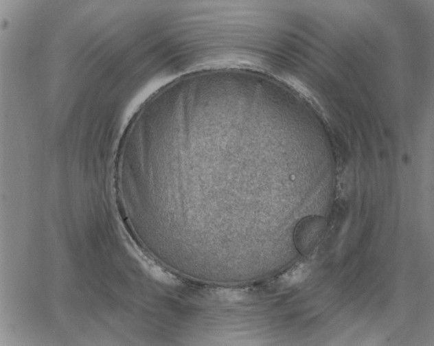 X0000063451086200601271533