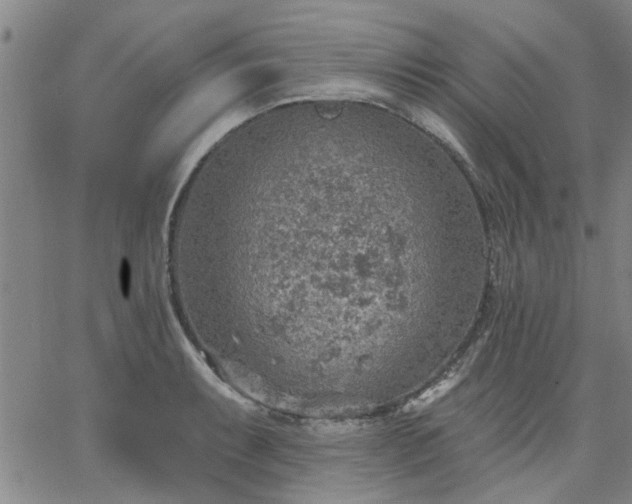 X0000063451087200601271533