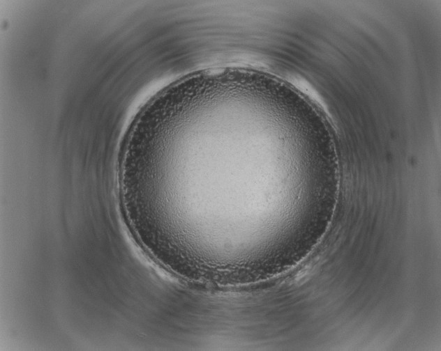 X0000063451088200601271533