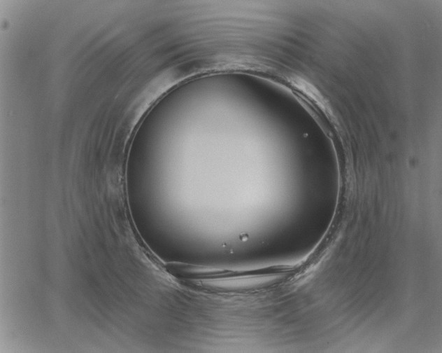 X0000063451089200601271533