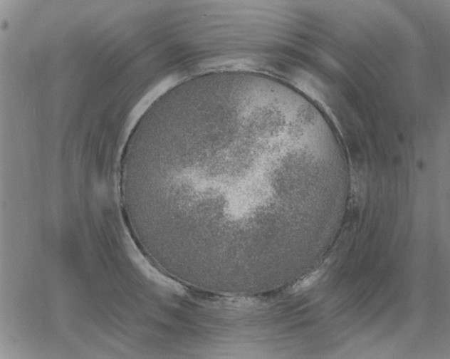 X0000063451090200601271533