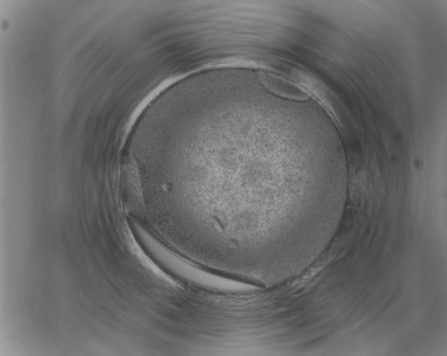 X0000063451092200601271533