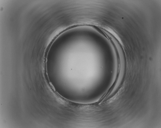 X0000063451093200601271533