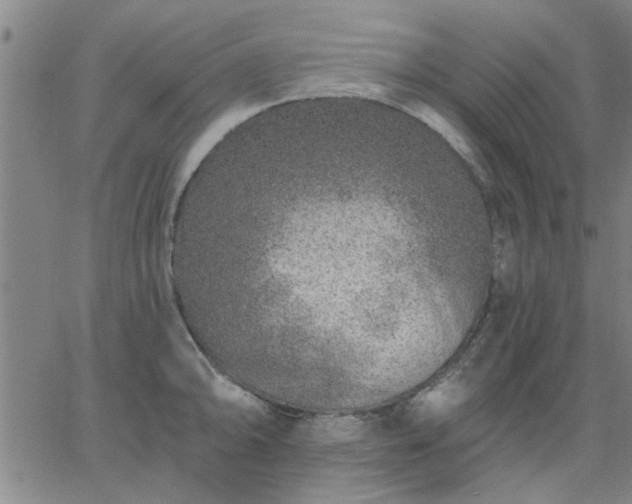 X0000063451094200601271533