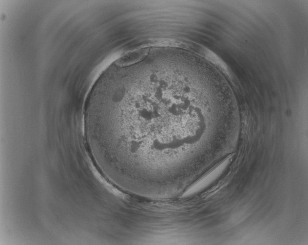 X0000063451095200601271533