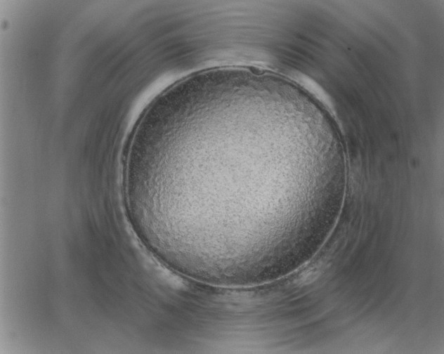 X0000063451096200601271533