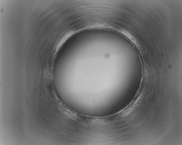 X0000063451097200601271533