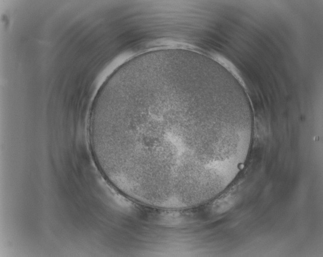 X0000063451098200601271533