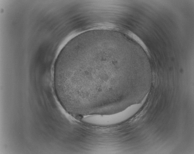 X0000063451099200601271533