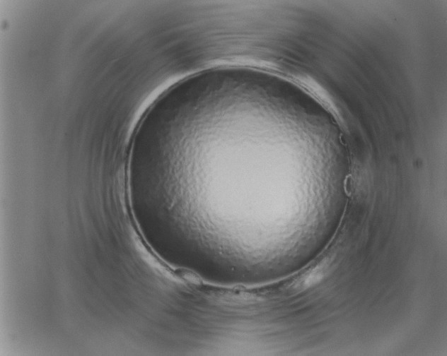 X0000063451100200601271533