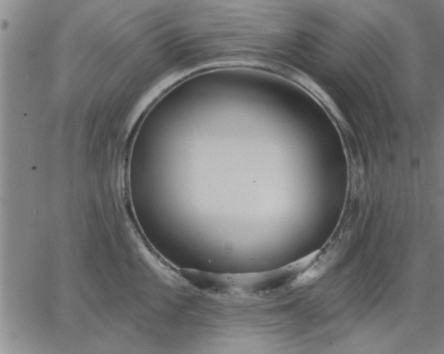 X0000063451101200601271533