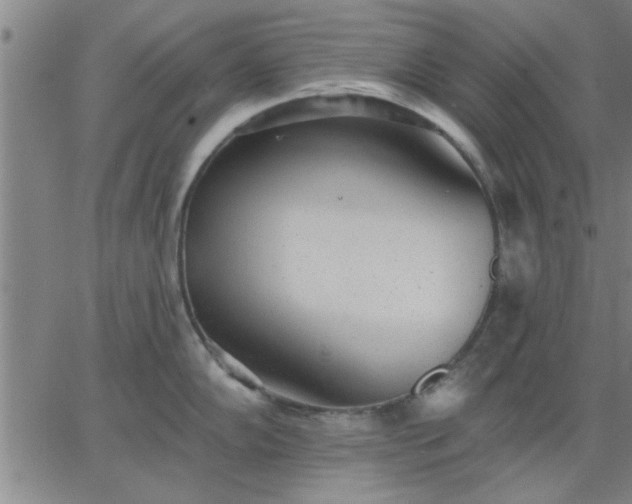 X0000063451102200601271533