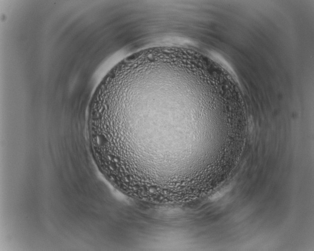 X0000063451103200601271533