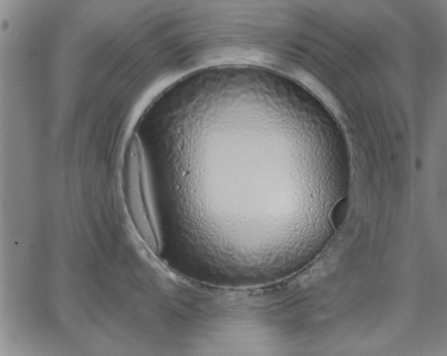 X0000063451104200601271533