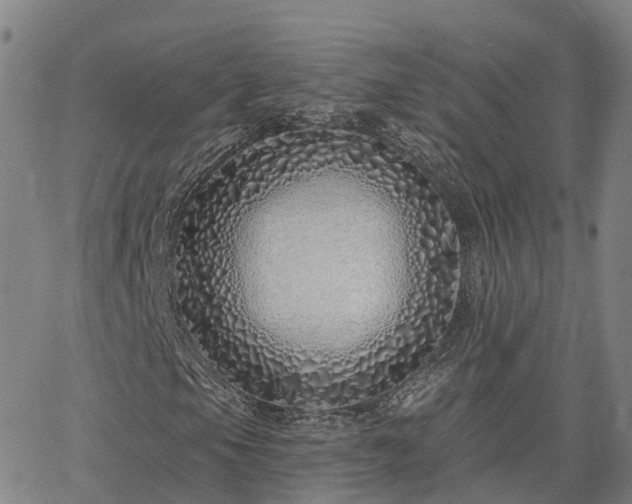 X0000063451105200601271532