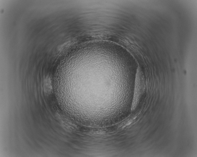 X0000063451106200601271532