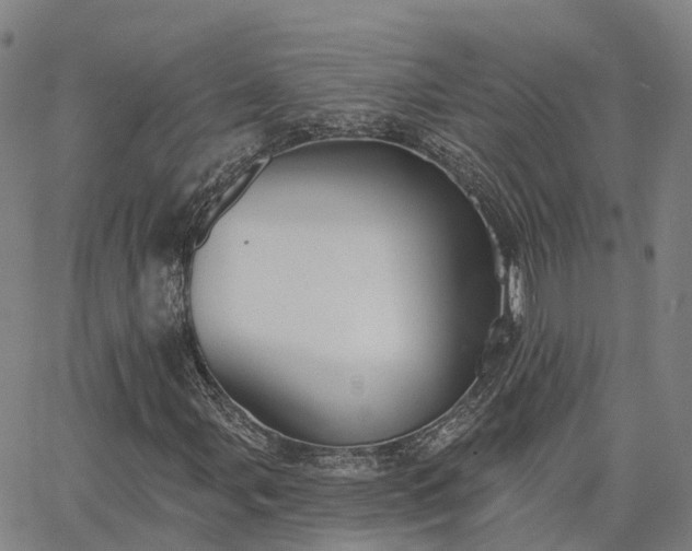 X0000063451107200601271532